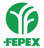 logo fedex